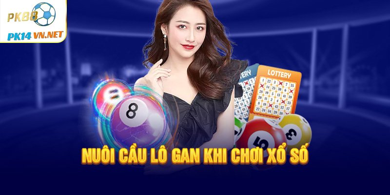 Nuôi cầu lô gan khi chơi xổ số